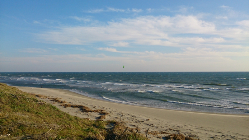 DSC_0513.jpg
